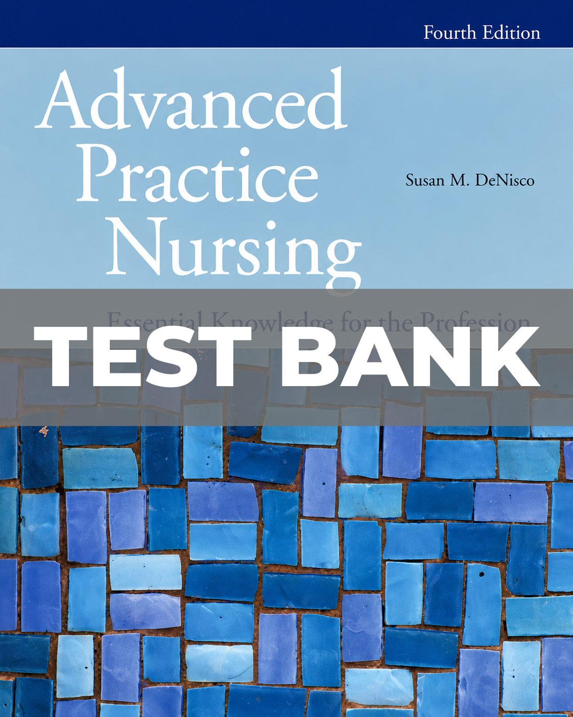 Test Bank for Advanced Practice Nursing 4th Ed Susan M. DeNisco