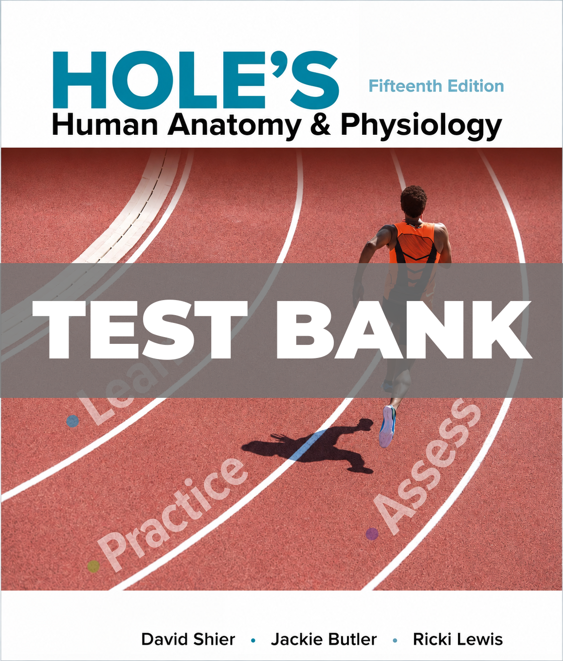 Test Bank For Holes Human Anatomy And Physiology 15th Edition Shier