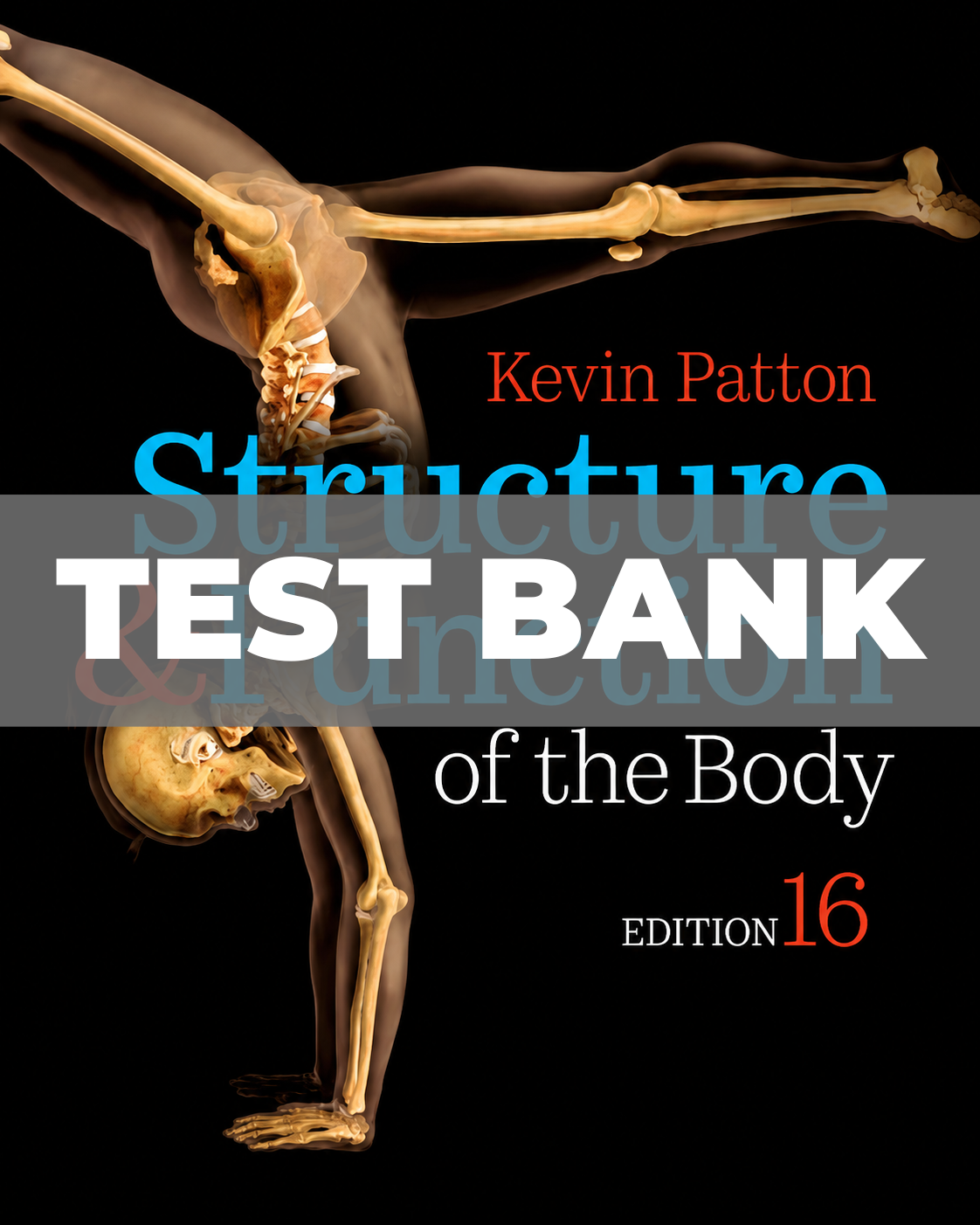 Test Bank for Structure & Function of the Body 16th Edition