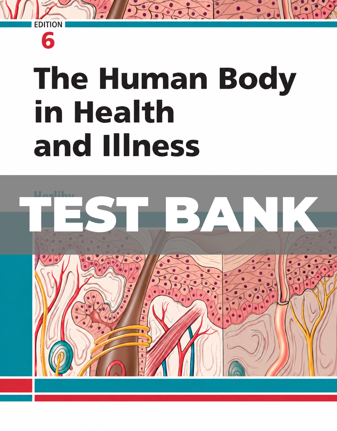 Test Bank for The Human Body in Health and Illness 6th Edition Herlihy