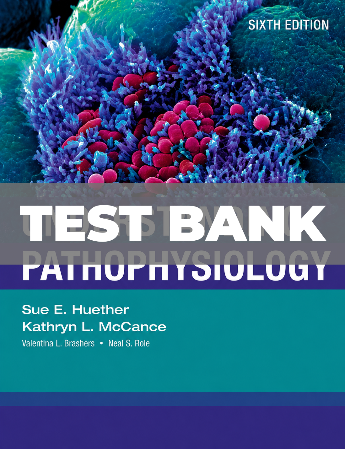 Test Bank for Understanding Pathophysiology 6th Edition Huether