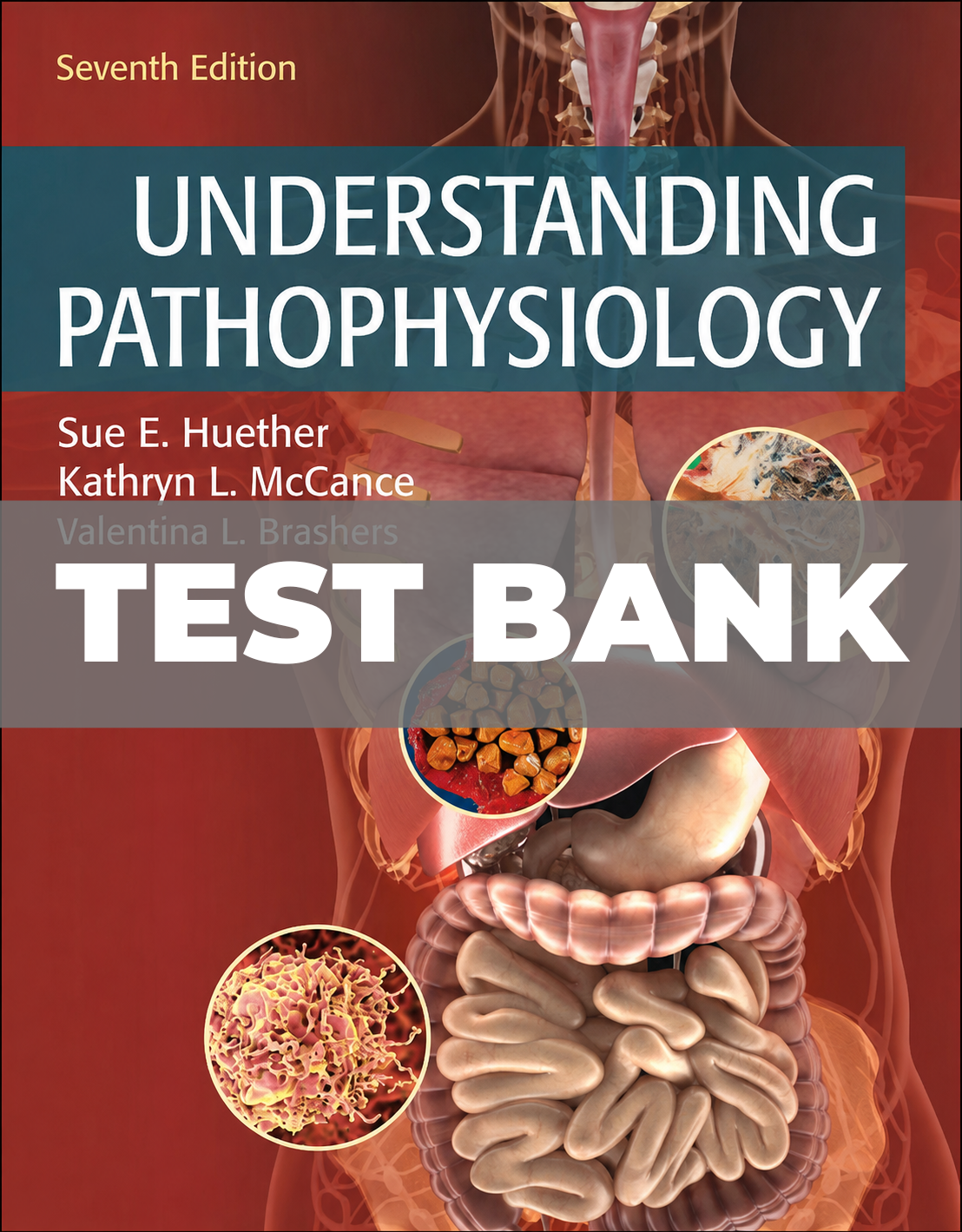Test Bank for Understanding Pathophysiology 7th Edition Huether