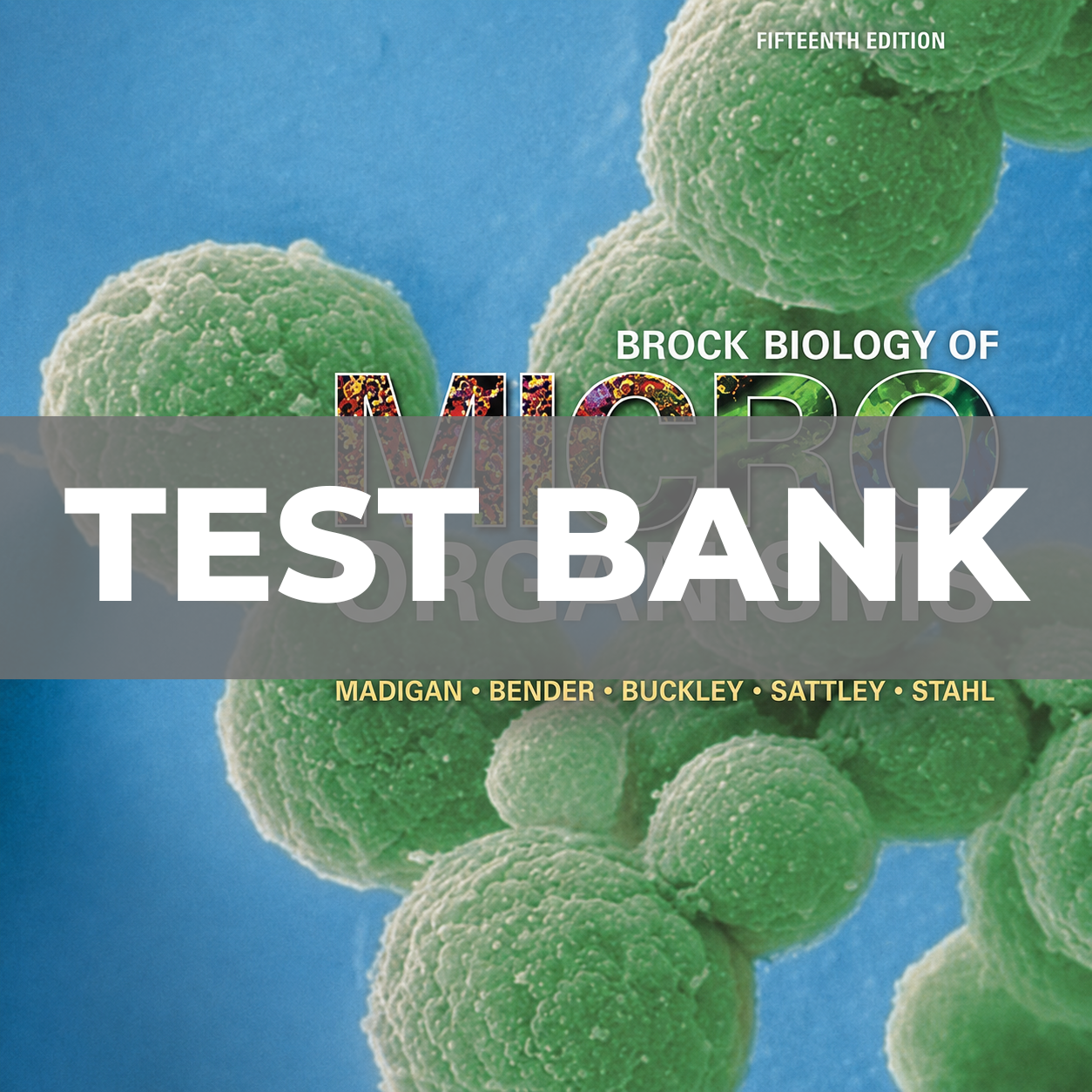 Test Bank for Brock Biology of Microorganisms 15th Edition Madigan